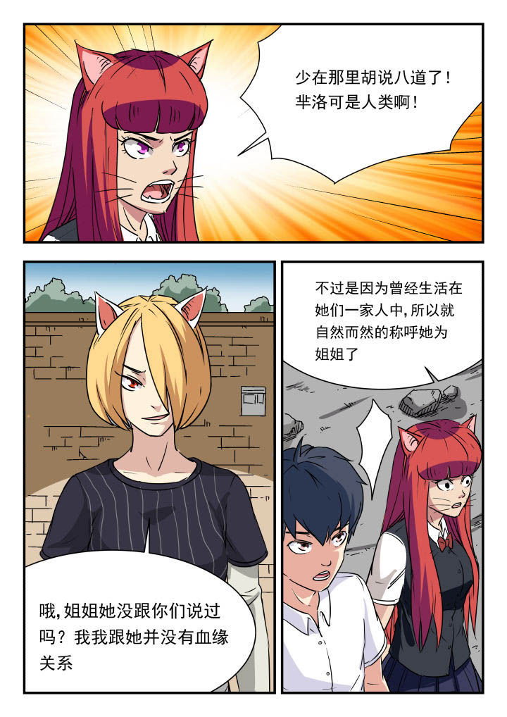 第100章：1