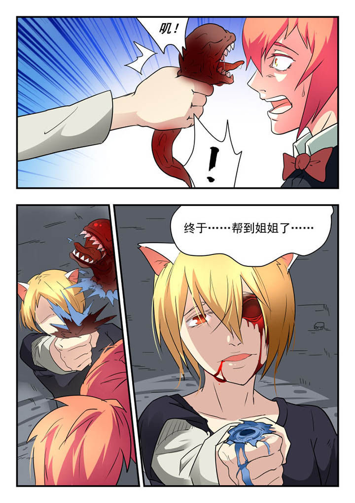 第120章：7