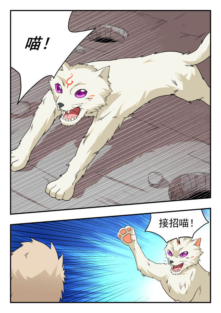 第142章：6
