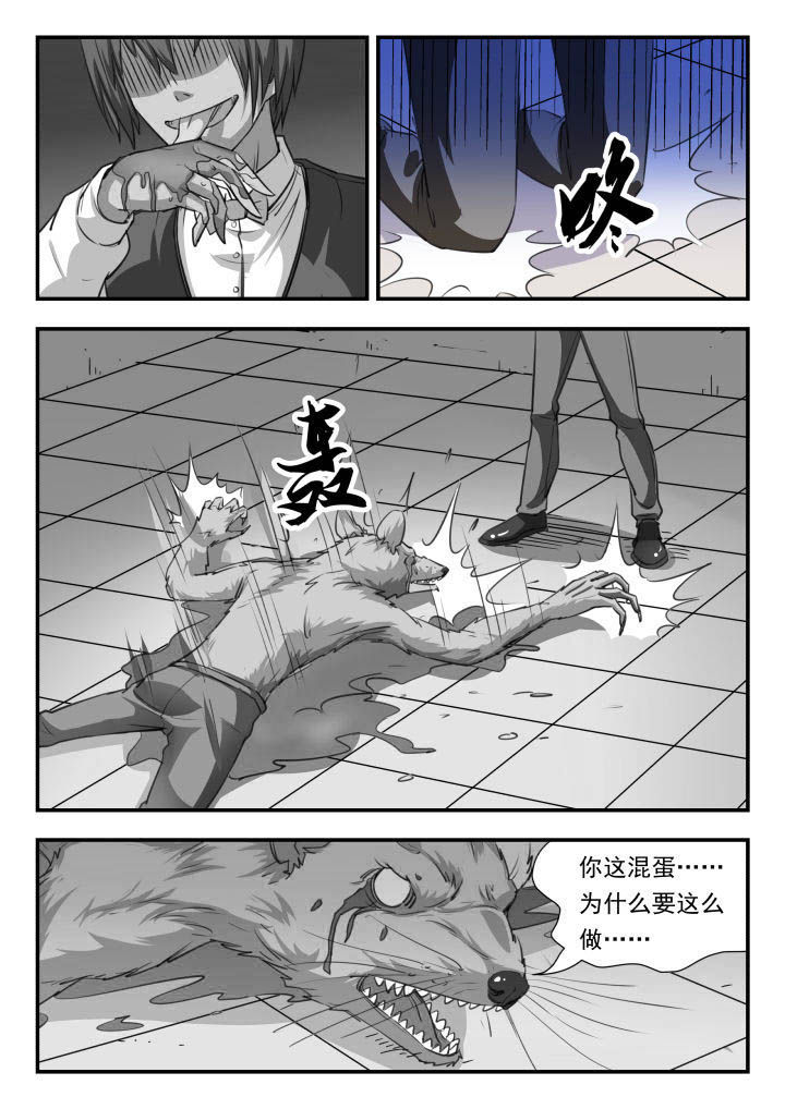 第40章：6