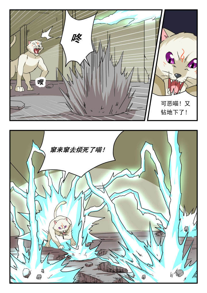 第149章：1