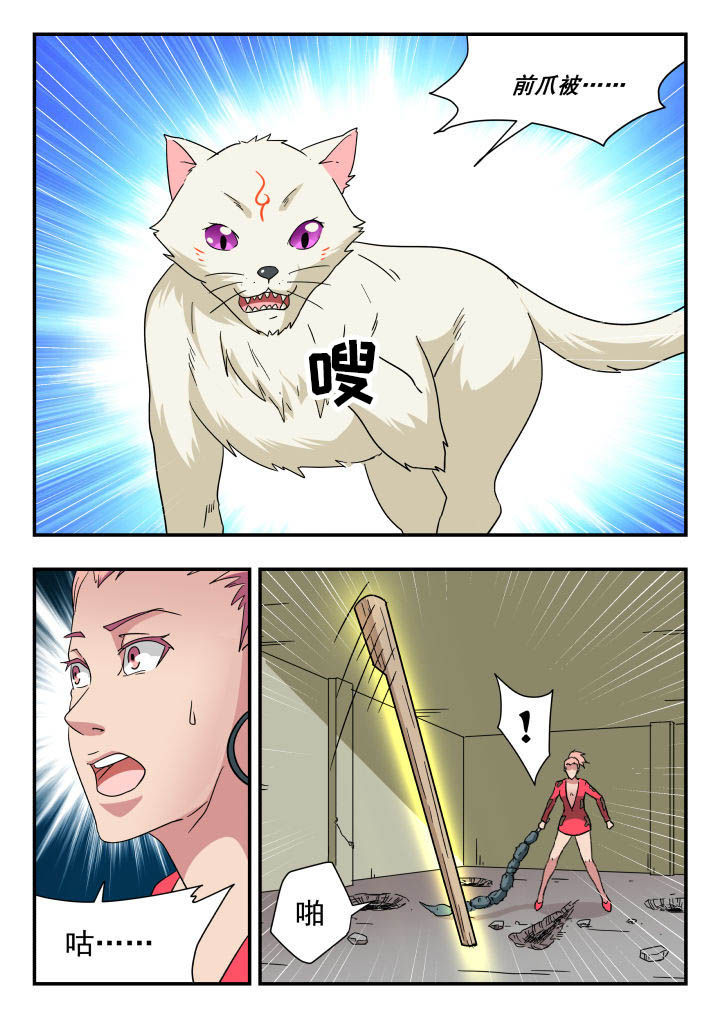 第148章：4