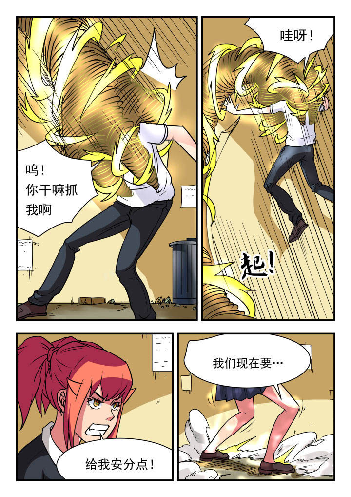 第55章：6
