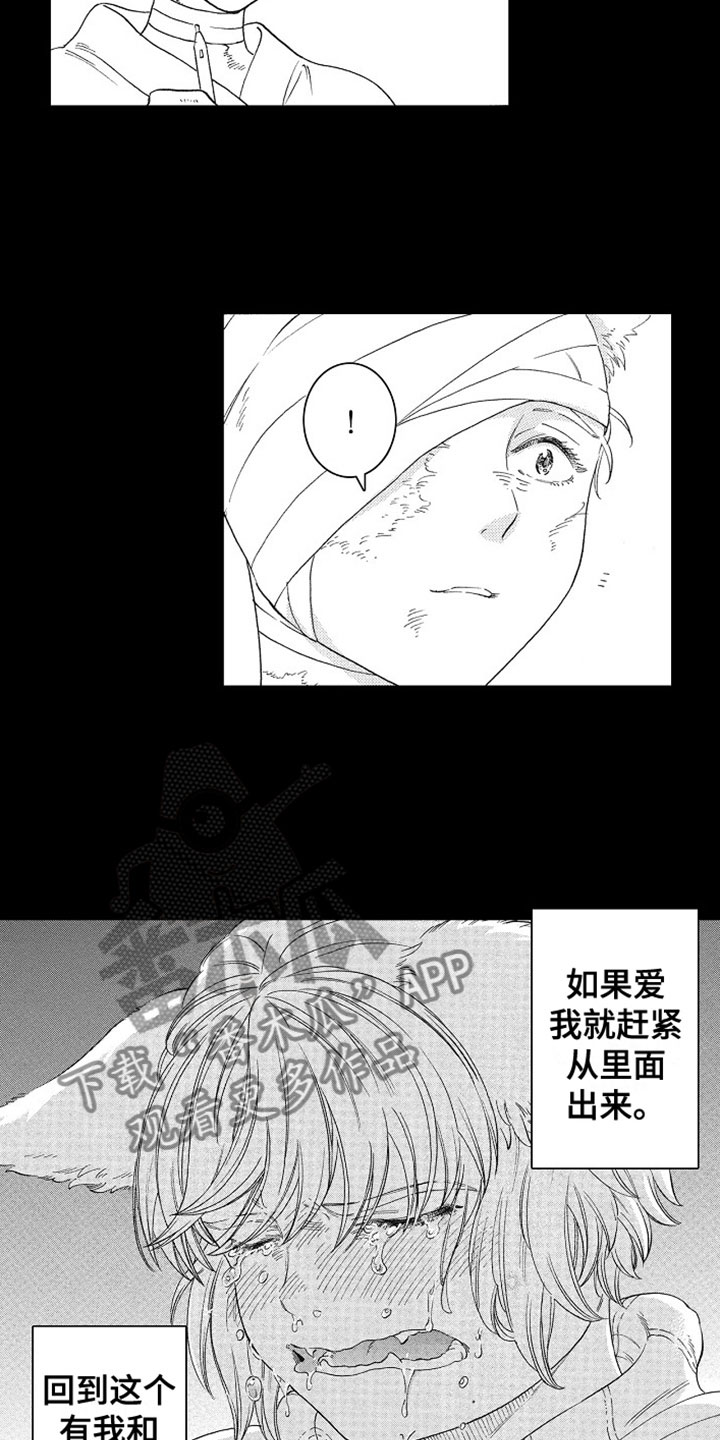 第17章：我爱你5