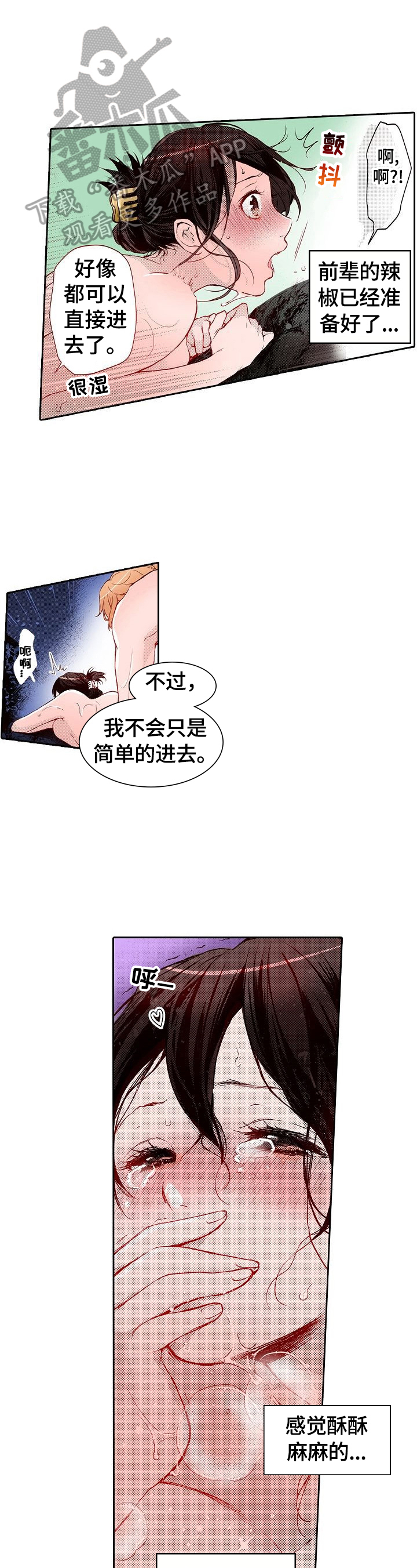 第20章：弱点发现1