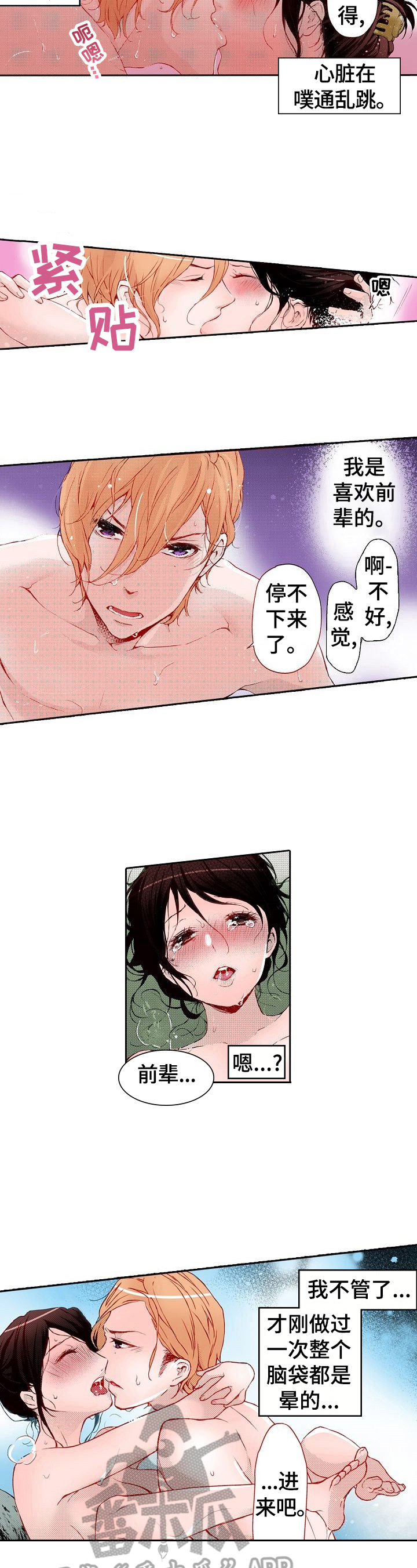 第20章：弱点发现5