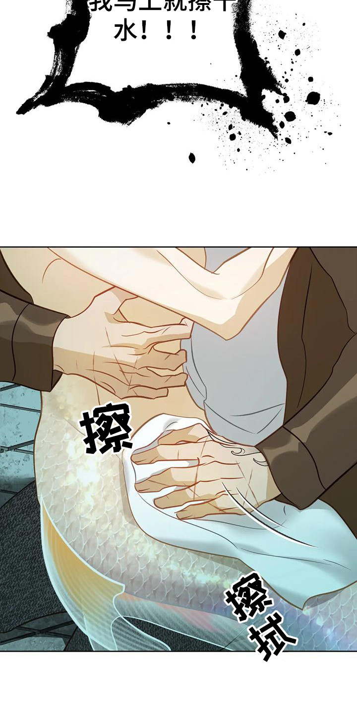第13章：擦拭9