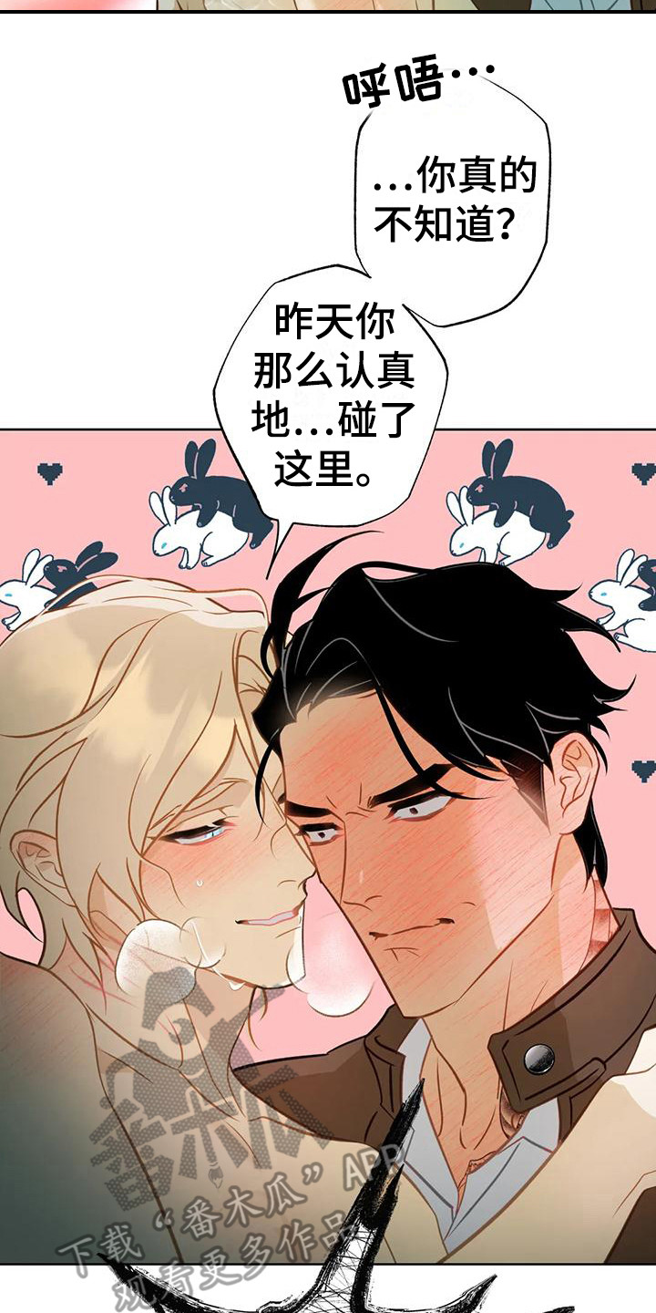 第13章：擦拭19