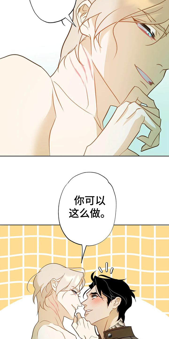 第13章：擦拭14
