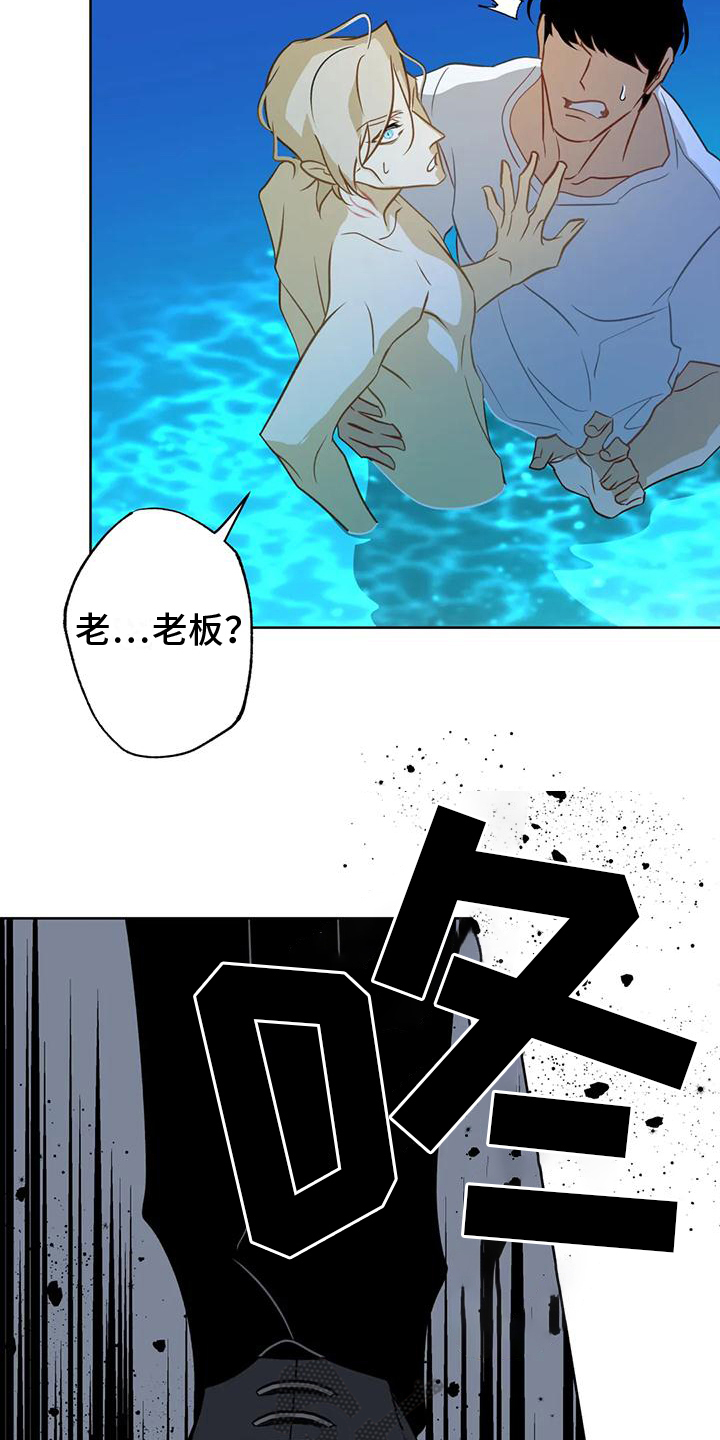 第6章：自荐5