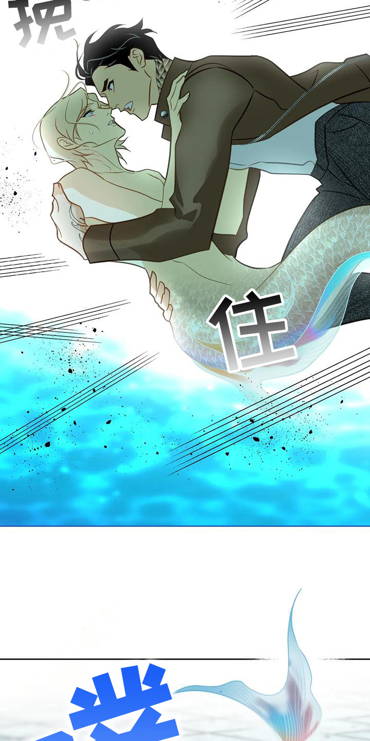 第13章：擦拭22