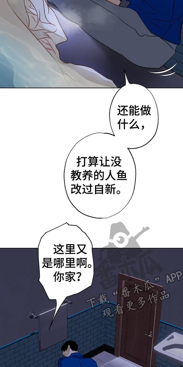 第20章：悄悄跟上14