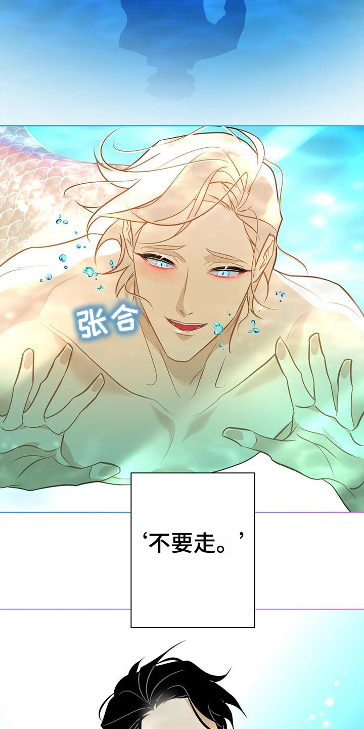 第12章：不要走15