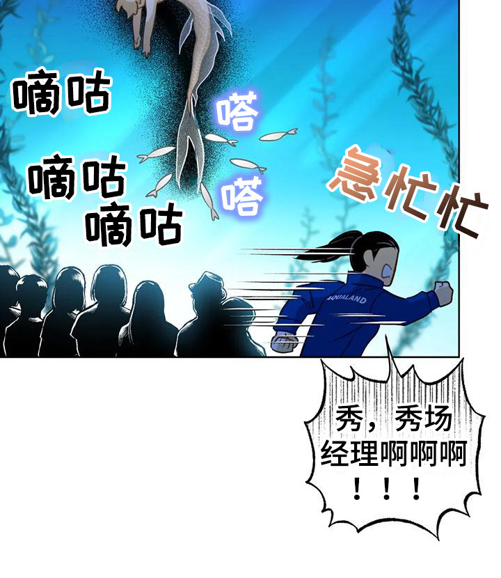 第17章：下定决心21
