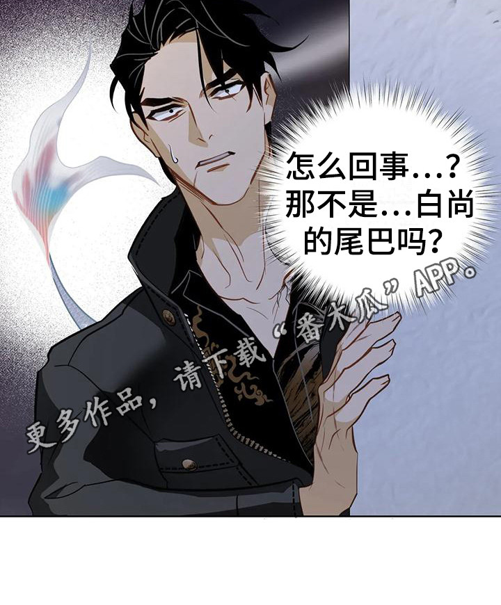 第19章：求助10