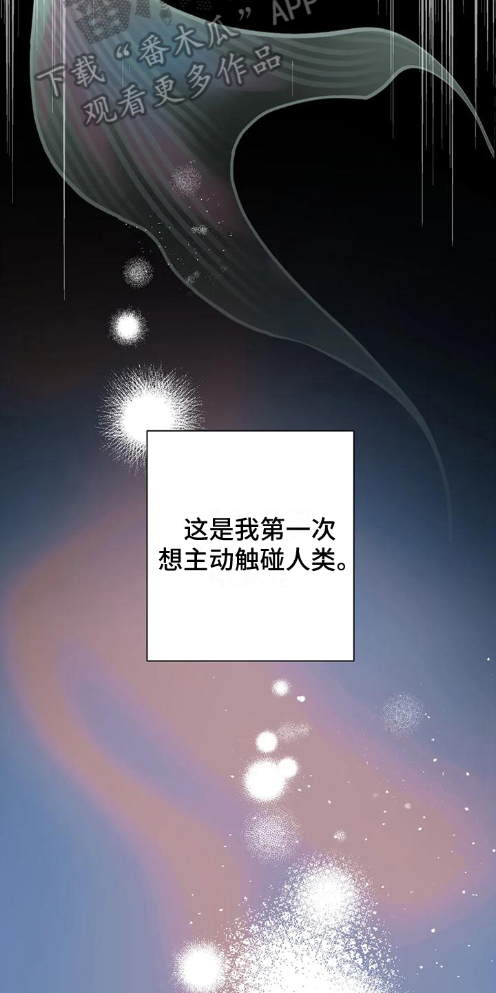 第9章：贪心10