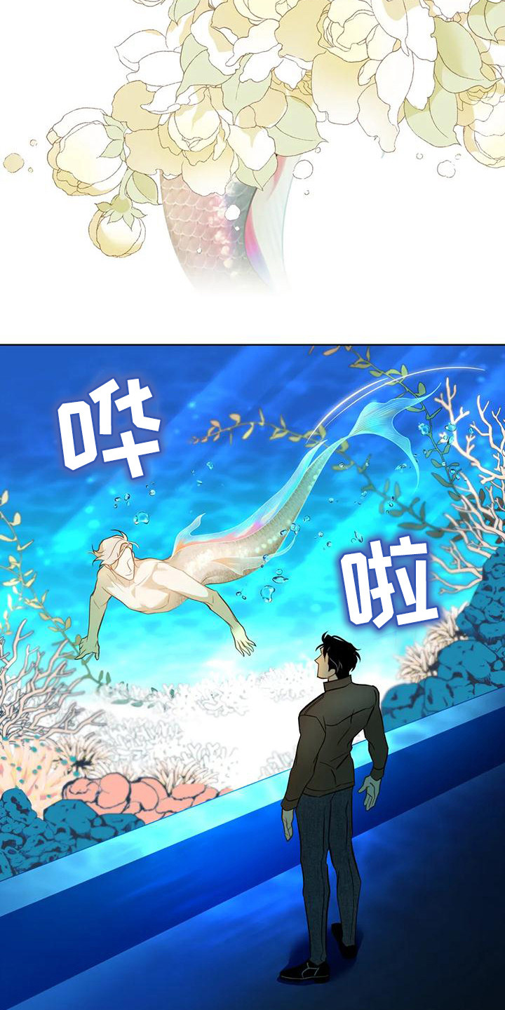第11章：很可爱18