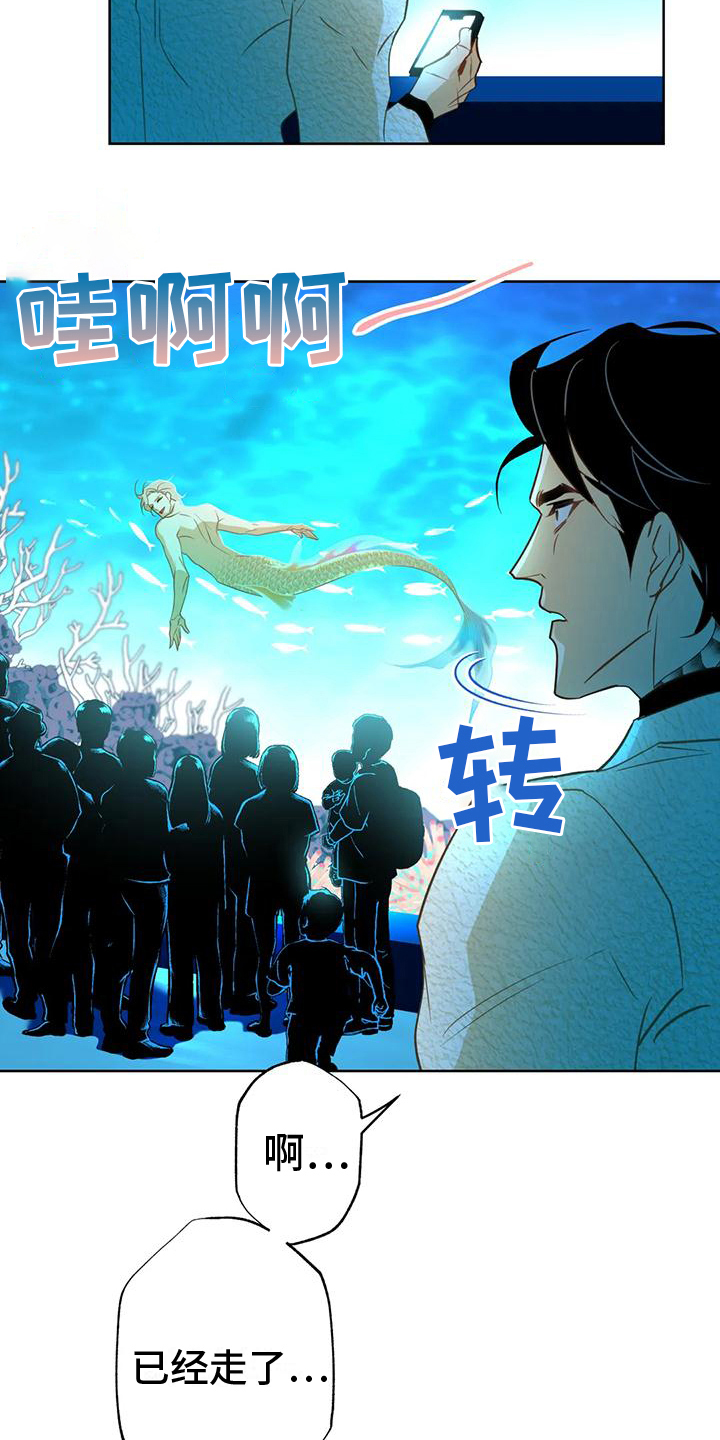 第5章：水秀8