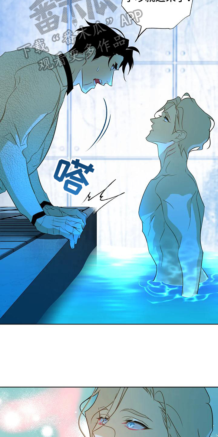 第6章：自荐11