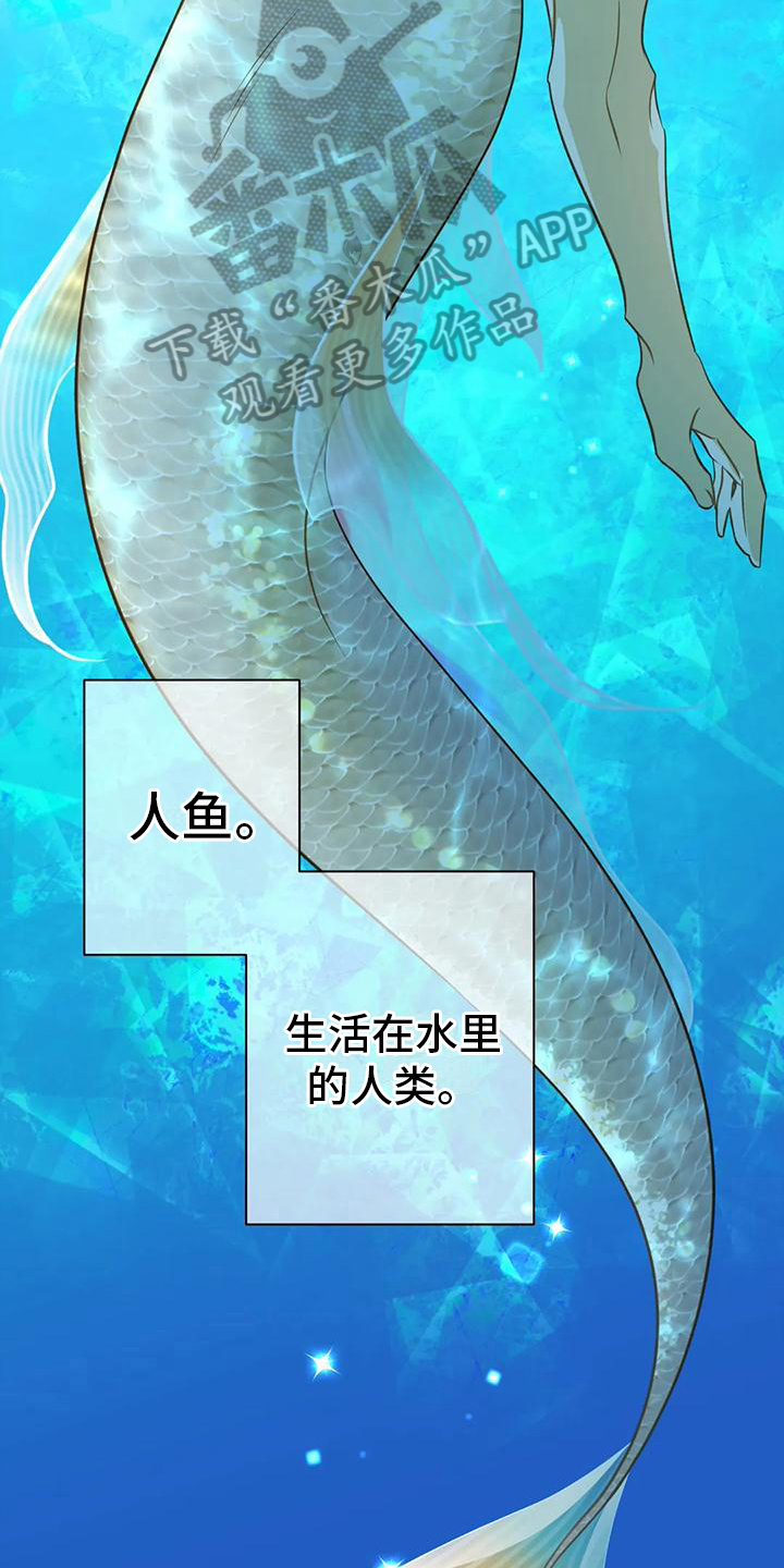 第4章：人鱼10