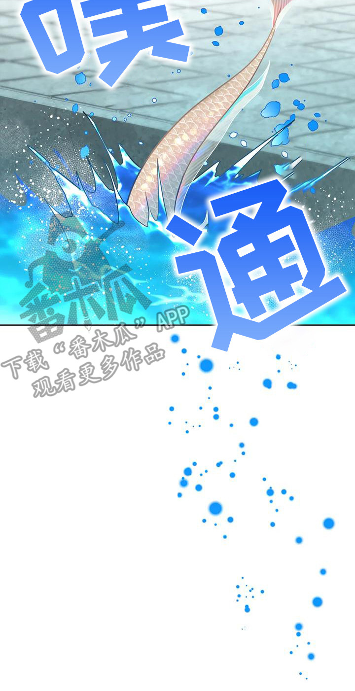 第13章：擦拭23