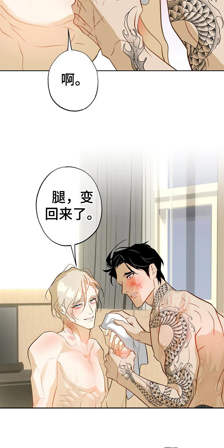 第26章：换我来5