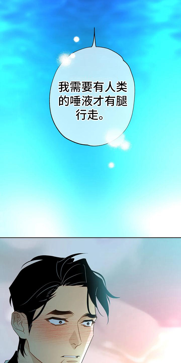 第6章：自荐17