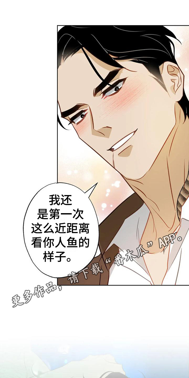 第13章：擦拭10