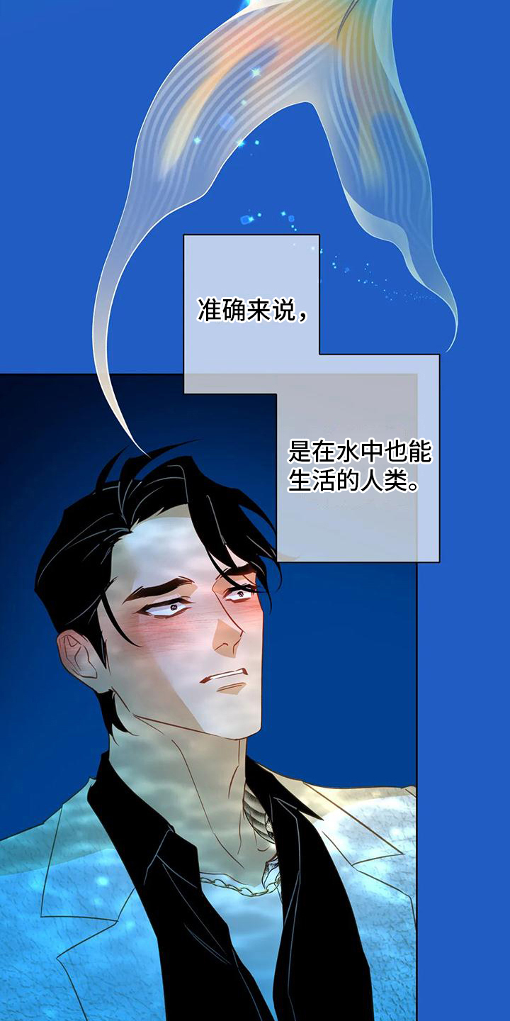 第4章：人鱼11