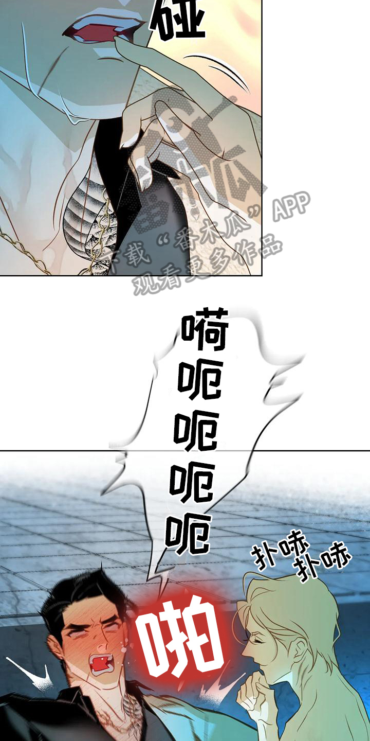 第7章：约定15