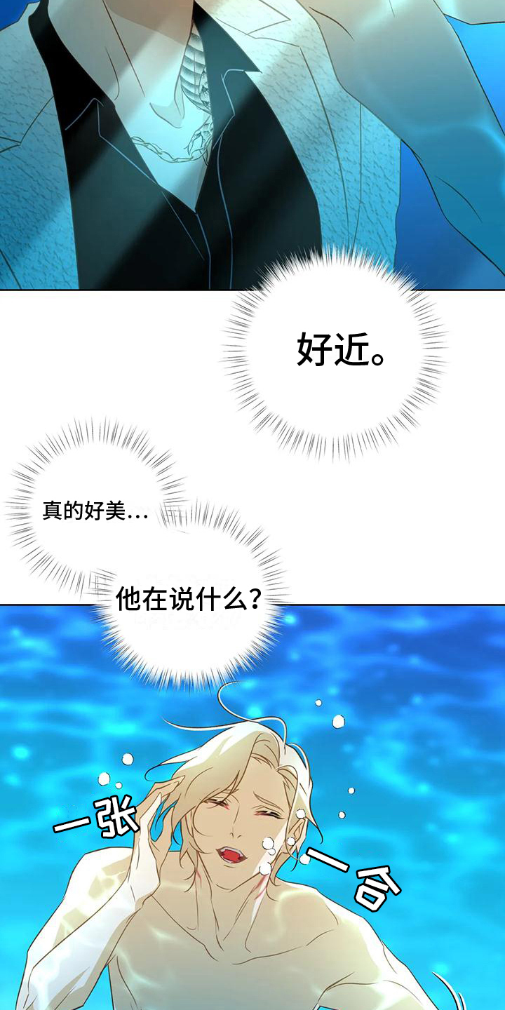 第5章：水秀5