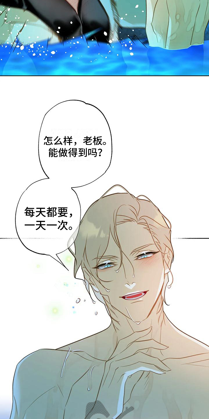 第7章：约定16