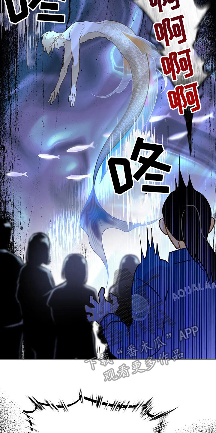 第17章：下定决心19