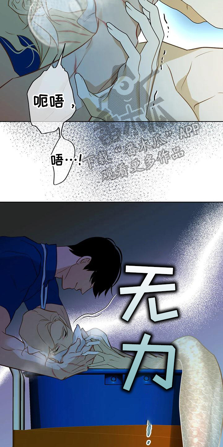 第18章：绑架17