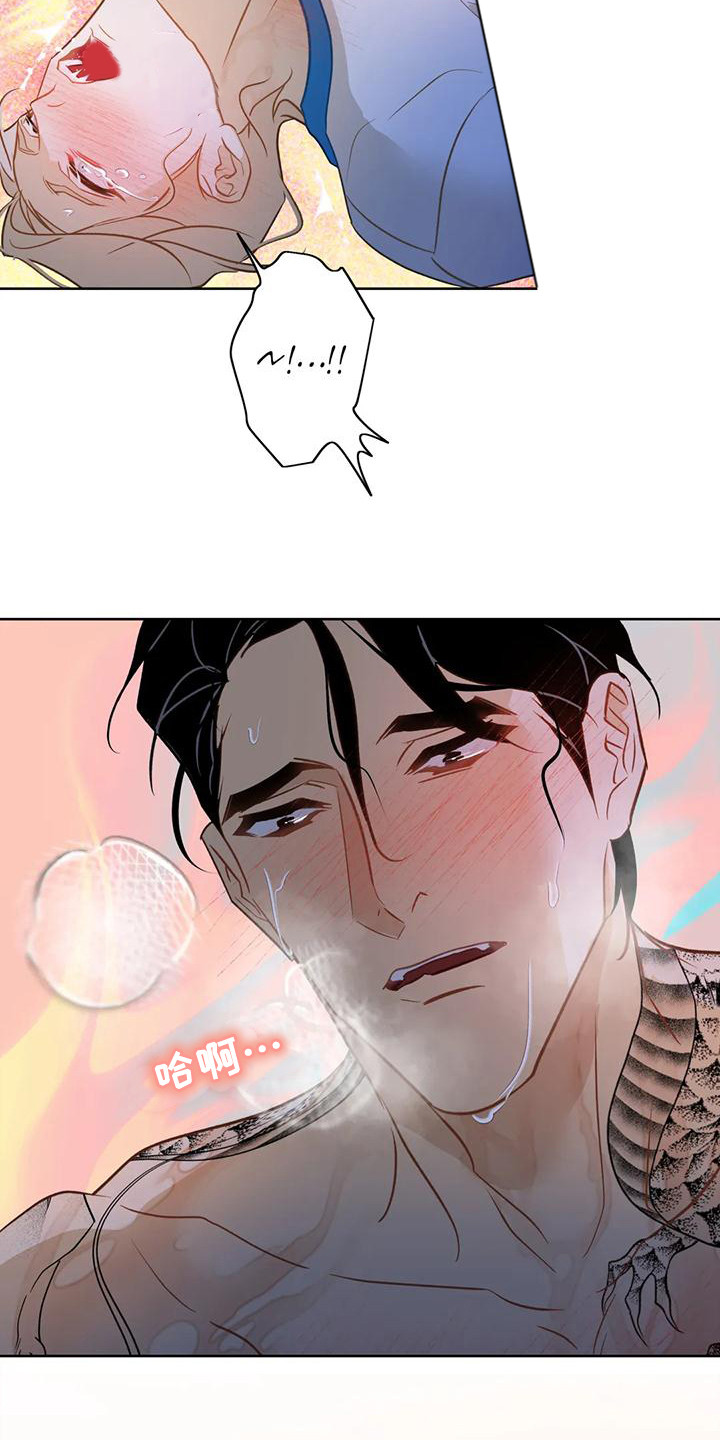 第11章：很可爱12