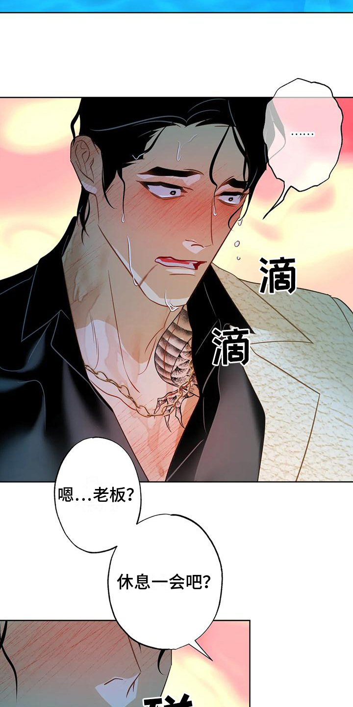 第7章：约定14