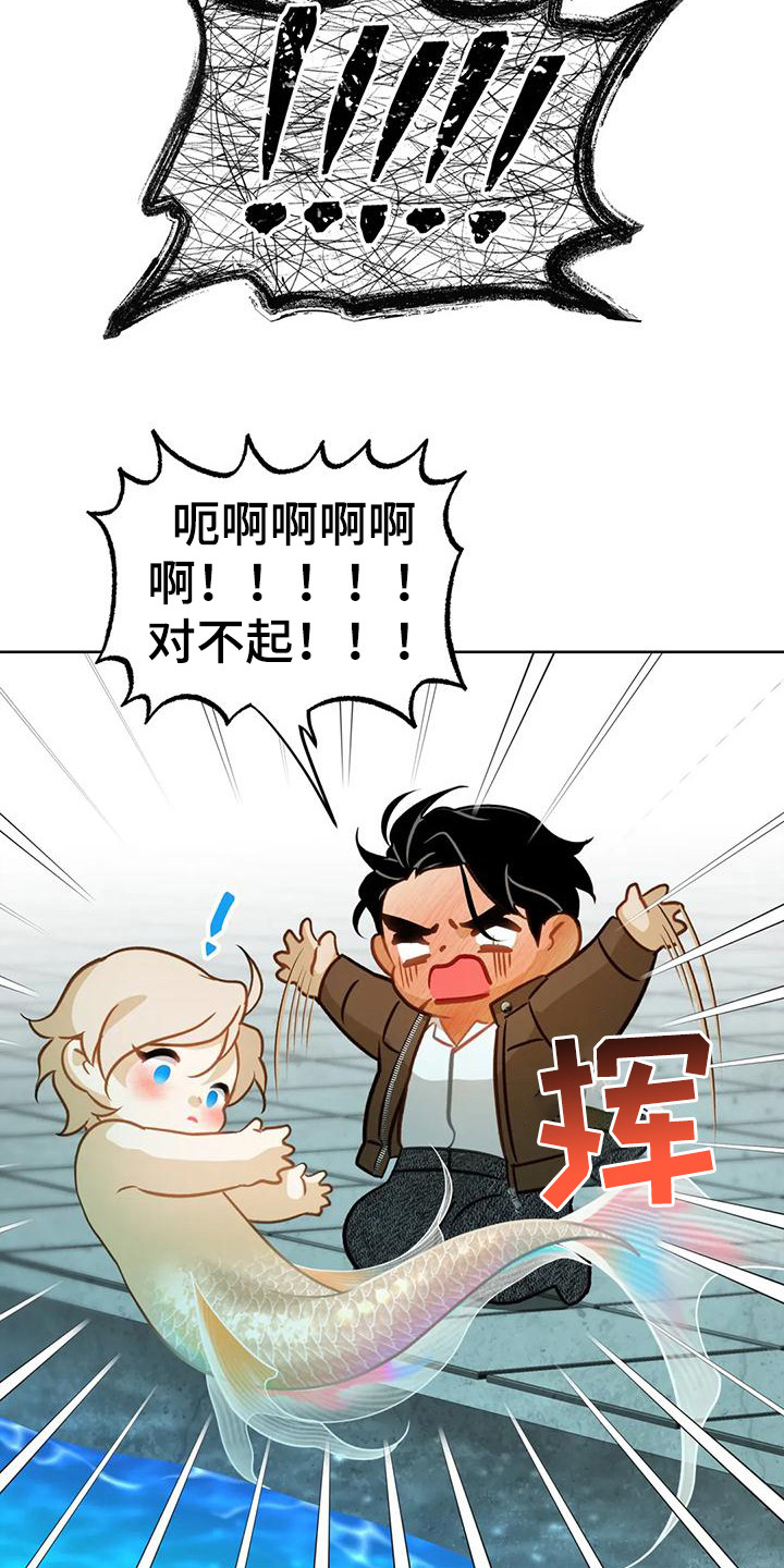第13章：擦拭20