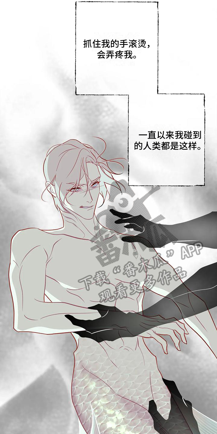第9章：贪心8