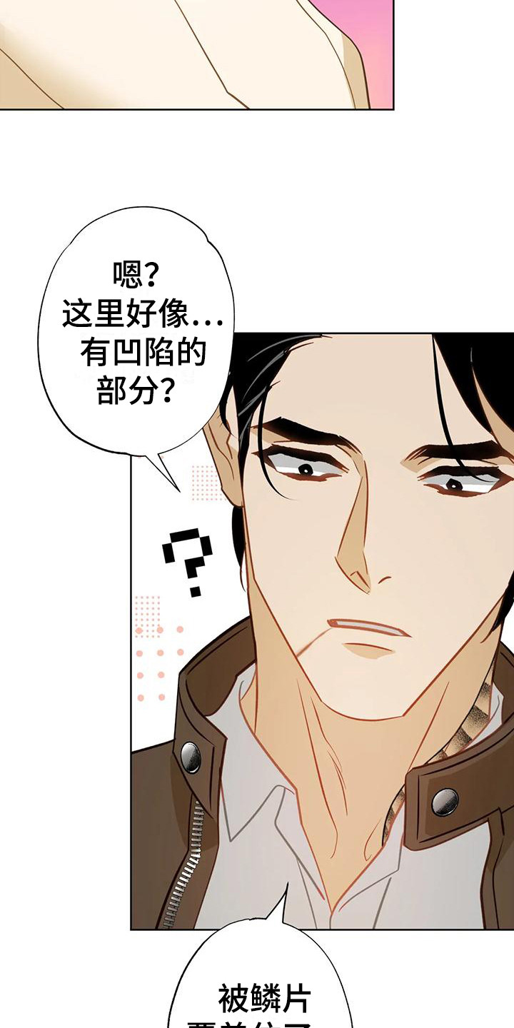 第13章：擦拭17