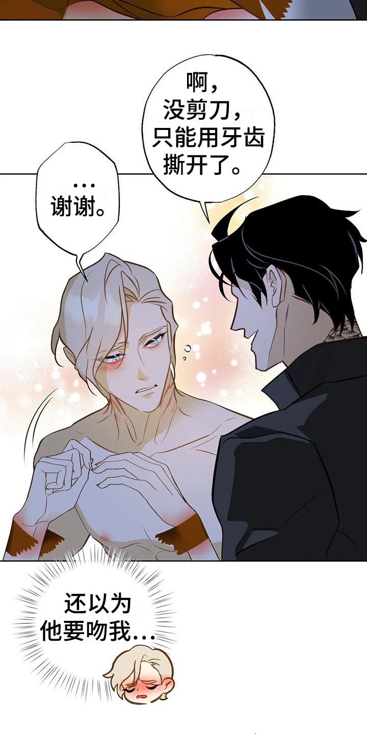 第21章：解救19