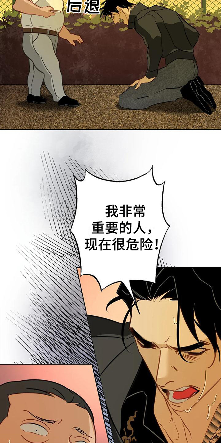 第19章：求助21