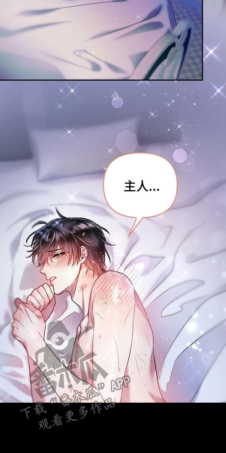 第26章：该死的1
