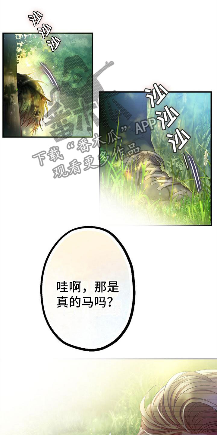 第8章：相遇19