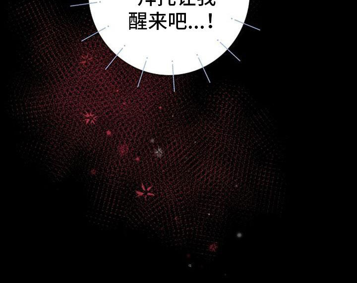 第43章：让我醒来吧22