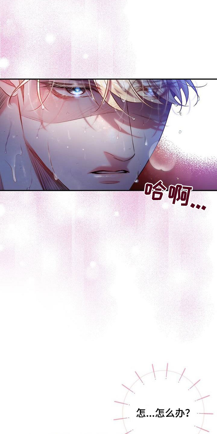 第57章：你到底是什么13