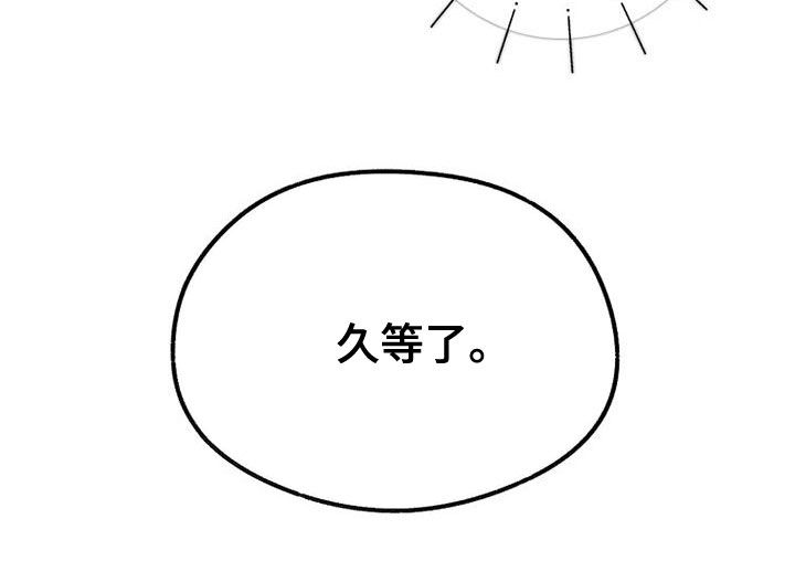 第28章：大阵仗17