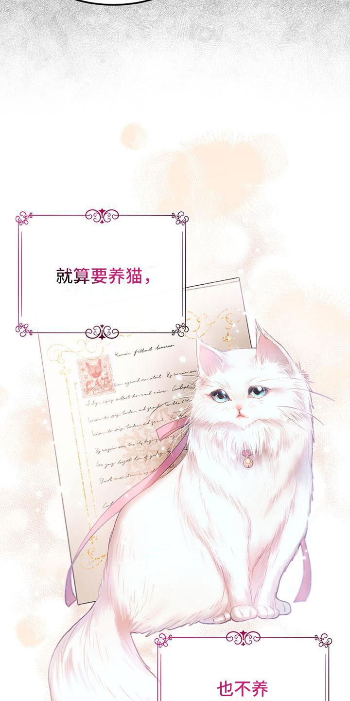 第3章：失主12