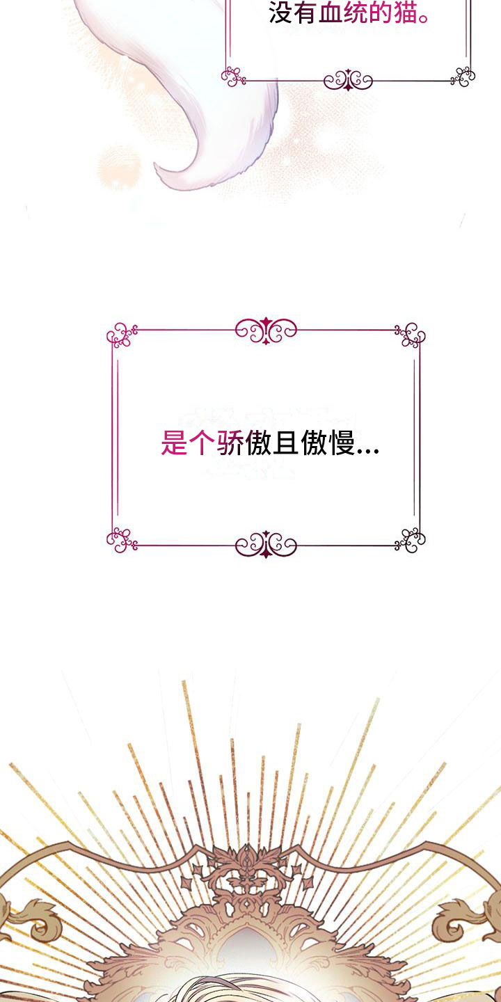 第3章：失主13