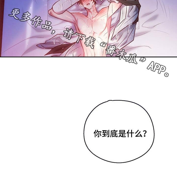 第57章：你到底是什么24