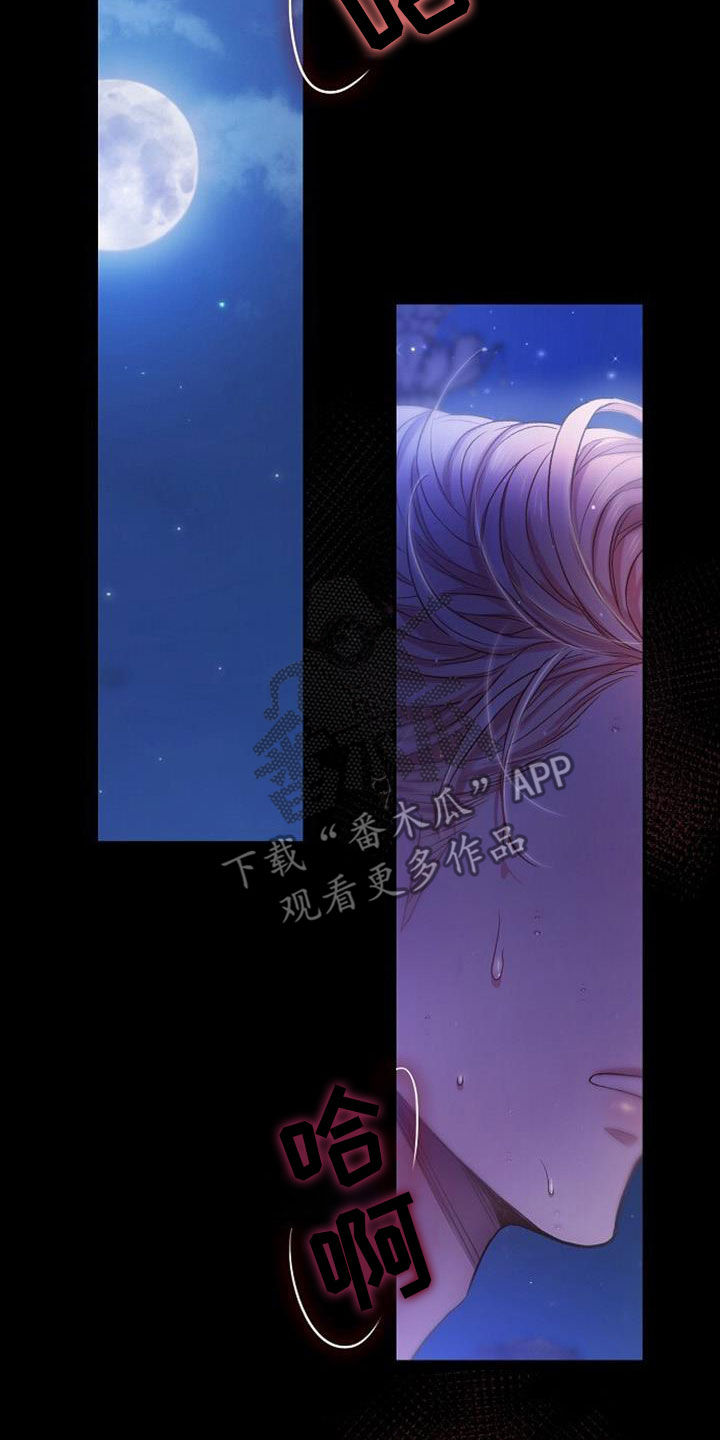 第44章：按自己的想法来10